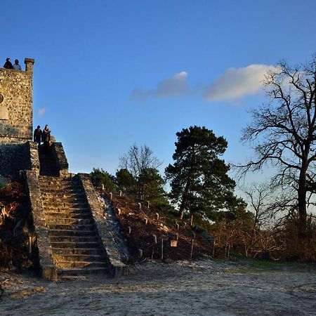 Le Denecourt - A Deux Pas De La Gare Et De La Foret De Fontainebleau Avon Екстериор снимка
